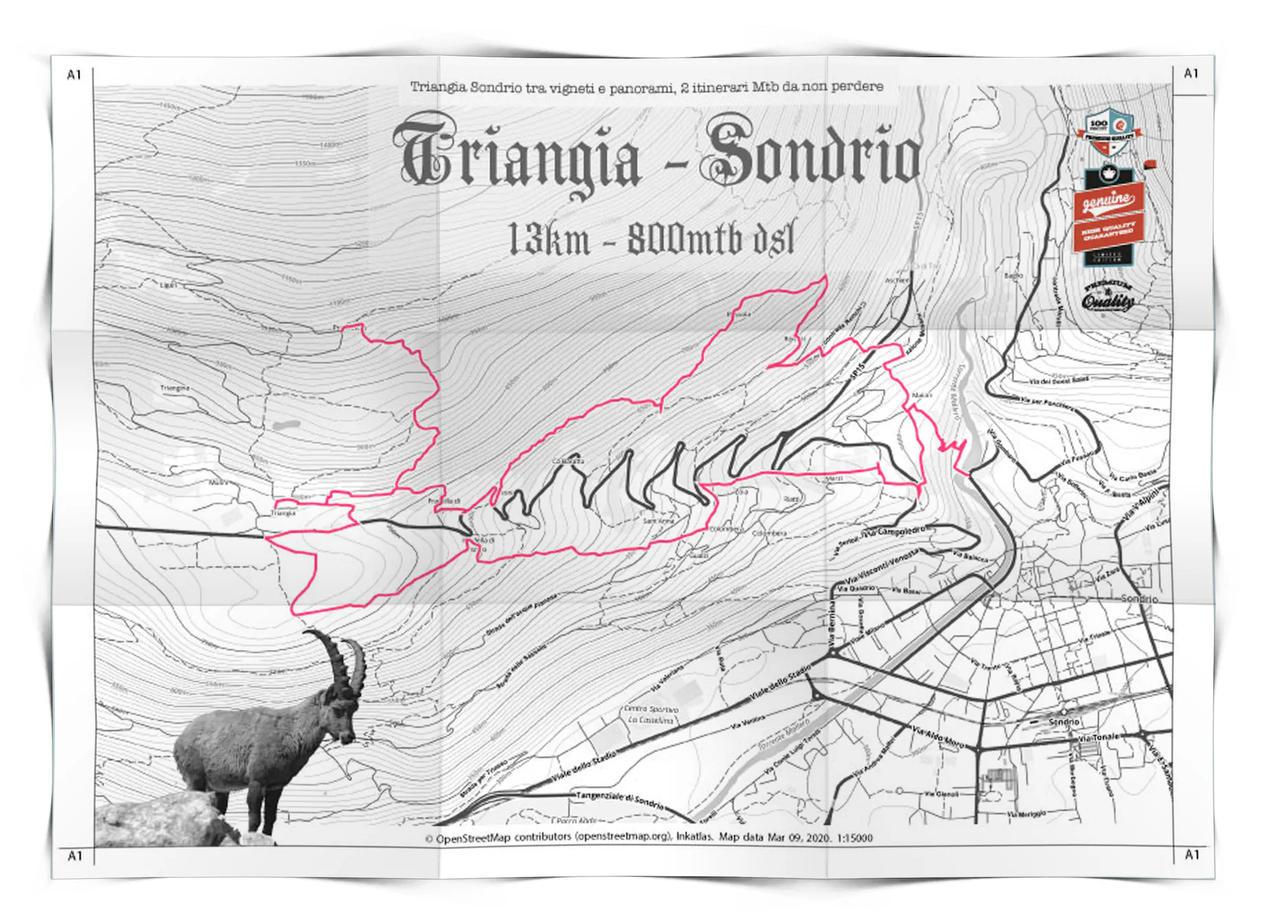 map-vintage-treasure-hunt.jpg