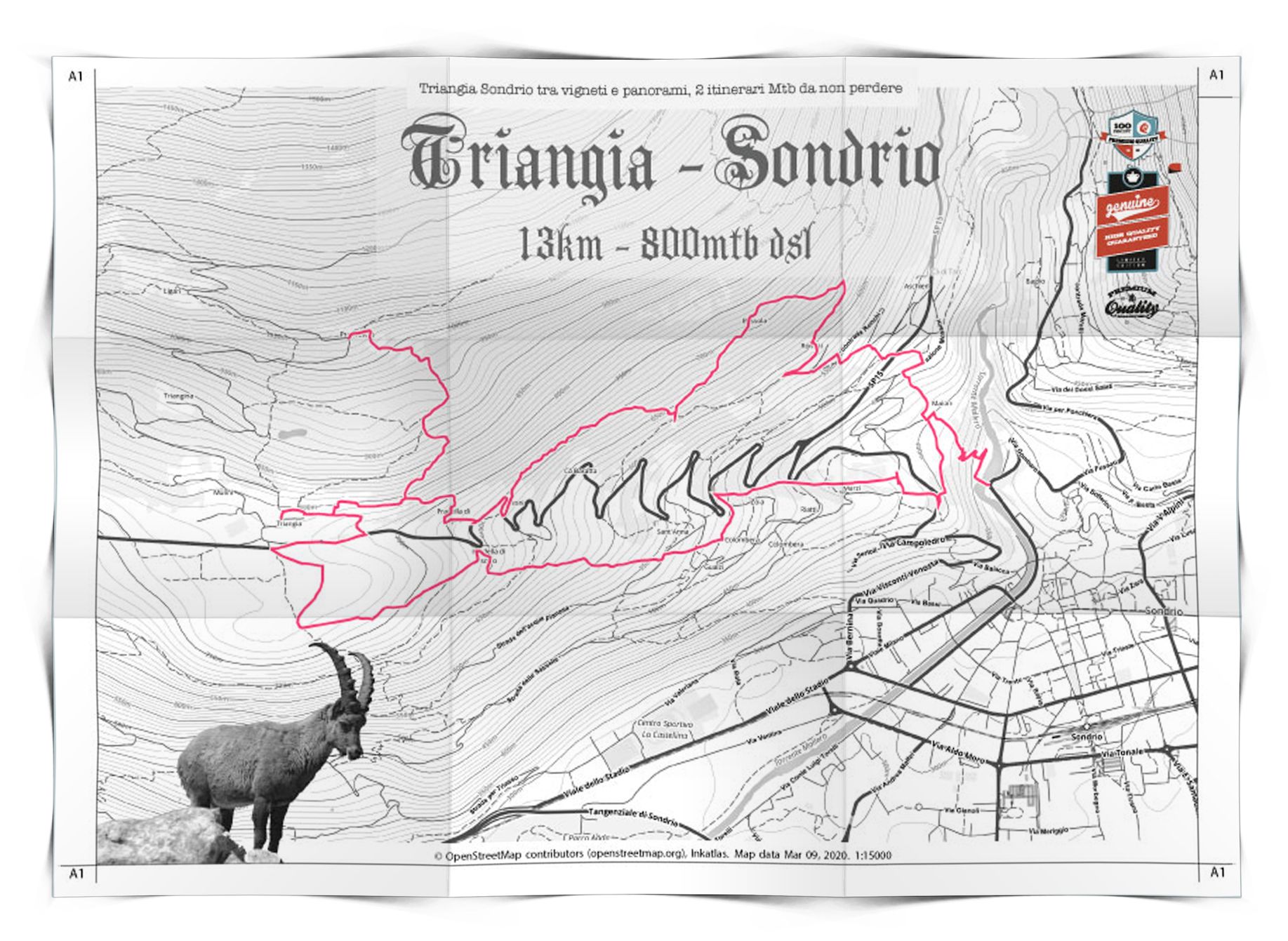 creazione mappe vintage con itinerari
